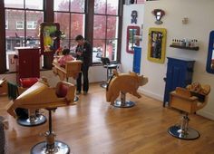 children's hair salon with wooden animals on the tables and chairs in front of large windows