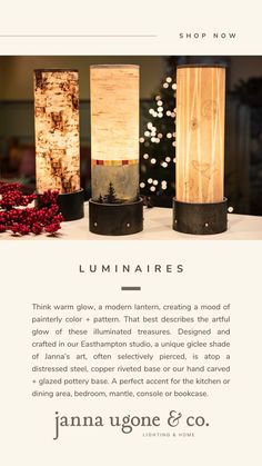 the website for luminaire's lighting company