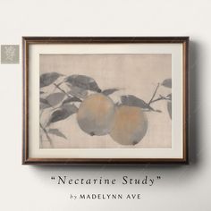 an art piece hanging on the wall above a framed painting with two peaches and leaves