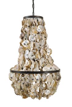 a chandelier made out of seashells hanging from a black metal chain