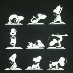 the silhouettes of people doing yoga poses