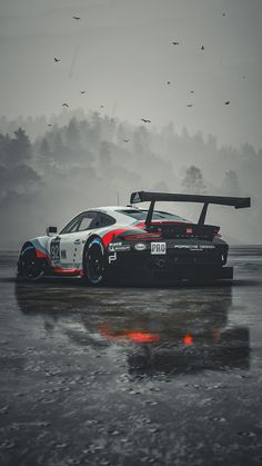 a race car driving on a wet track with birds flying in the sky behind it