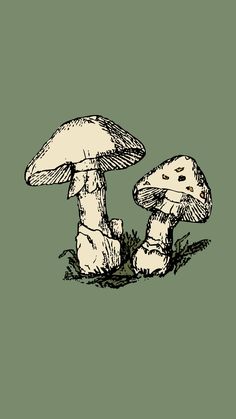 two mushrooms sitting on the ground in front of a green background with black and white ink