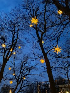 the trees are lit up with star shaped lights