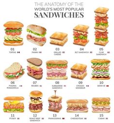 the anatomy of the world's most popular sandwiches