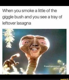 High Memes, Leftover Lasagna, Spicy Meme, High Jokes, Puff And Pass, Wholesome Memes, Really Funny Pictures, Super Funny, Popular Memes