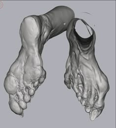 an x - ray view of the foot and toes