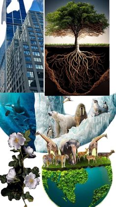 the collage shows different types of plants, animals and trees in front of a tall building