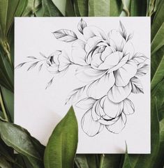 a drawing of flowers and leaves on a piece of paper next to some green leaves