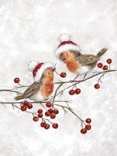 two birds are sitting on a branch with berries and snow in the background, one is wearing a santa hat