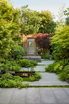 an outdoor garden with lots of plants and trees in it, including grass on the ground