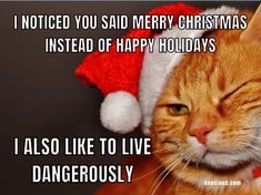 an orange cat wearing a santa hat with the caption i noticed you said merry christmas instead of happy holidays