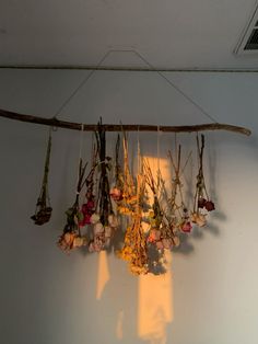 dried flowers hang from the ceiling in front of a white wall