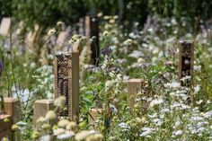 an assortment of beehives and flowers in a field