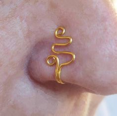 a close up of a person's nose with a gold earring on it