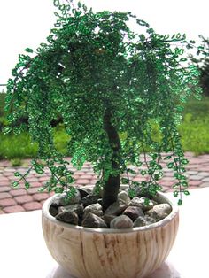 a small green tree sitting in a wooden bowl on top of a white table next to a brick walkway