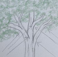 a pencil drawing of a tree with three umbrellas