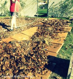 a young boy holding a tennis racquet on top of a pile of leaves