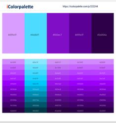 the color palette is shown with different colors in each section, including pink and purple