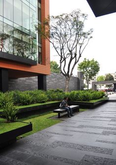 a man sitting on a bench in the middle of a courtyard with grass and trees