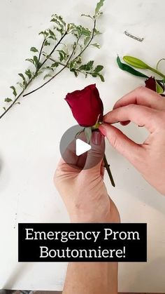 someone is holding a red rose in their hand with the caption emergency from boutonniere