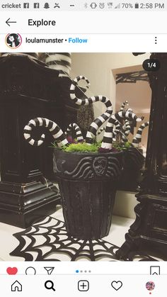 a potted plant with black and white candy canes in it