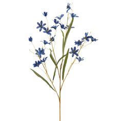 blue flowers are in a vase on a white background