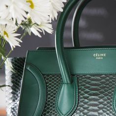 Green Python, Celine Handbags, Top Designer Brands, Python