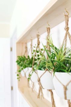 three hanging planters with plants in them on a wooden shelf next to a door