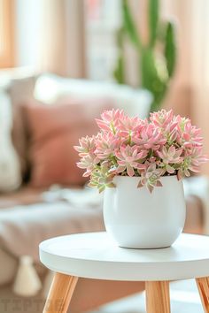 pink succulents for living room decor idea