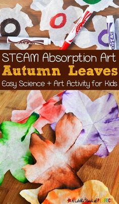 an autumn leaf craft for kids with the words steam absorbing art written in white letters