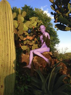 a man sitting on top of a rock next to a green plant and cacti