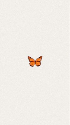 an orange butterfly flying in the sky