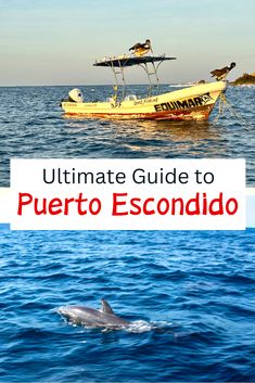 the ultimate guide to puerto escondio with dolphins and boats in the water