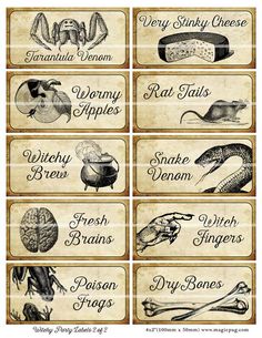 six different types of food labels