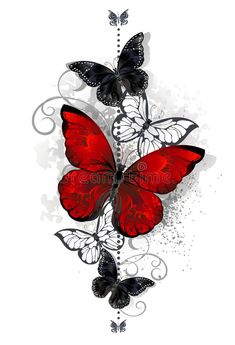 three red butterflies flying in the air with white background - miscellaneous objects / objects illustrations