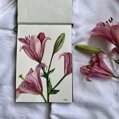 some pink flowers are on a white sheet