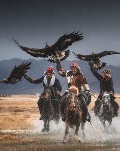 four people riding horses with birds on their backs