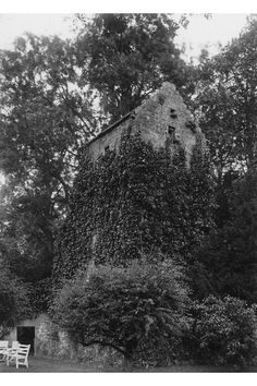 an old house covered in vines and ivys with two white benches sitting on the side