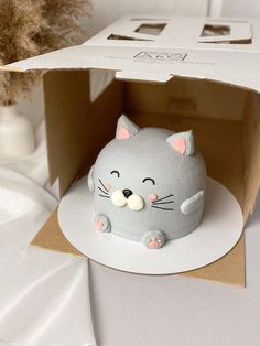 a cat cake in a box on a table