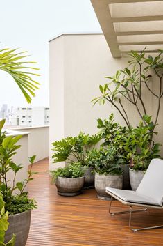 there are many potted plants on the roof deck and one chair is in the foreground