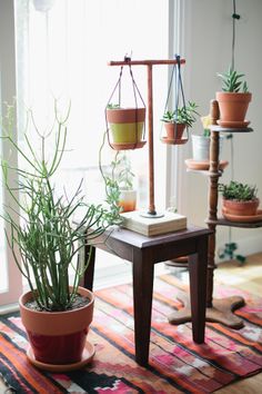 several potted plants sit in front of a window on a colorful rug and table