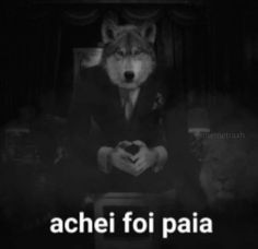 a wolf sitting in a chair with the words achi foi paia