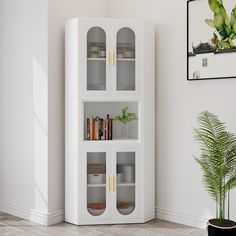 a white bookcase with glass doors next to a potted plant in the corner