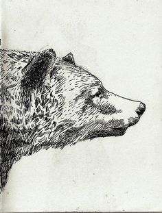 . Bear Illustration, White Drawing, Bear Art, Black And White Drawing, Arte Animal, Sleeve Tattoo, Animal Illustration, 그림 그리기, Ink Drawing