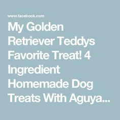 the text reads, my golden retriever teddys favorite treat ingredient homemade dog treats with aguya