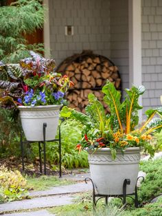 two planters with plants in them on the side of a house