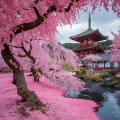 pink flowers are blooming on the ground next to a pond in front of a pagoda