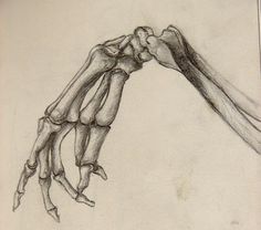 an image of a drawing of a hand holding another hand with it's arm