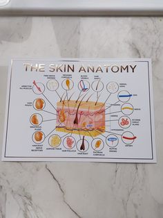 Skin Anatomy Poster (raised foil) available in gold, silver or rose gold foiled finish (shiny/ metallic) Landscspe A3 size poster (not framed) to be used for display purposes only in clinic/ salon. (This is not a teaching tool). Skin Anatomy Project, Skin Poster, Skin Layers, Skin Types Illustration, Skin Layers Anatomy Project, Hydrafacial Illustration, Skin Structure Diagram, Skin Clinic Poster, Skin Histology Art